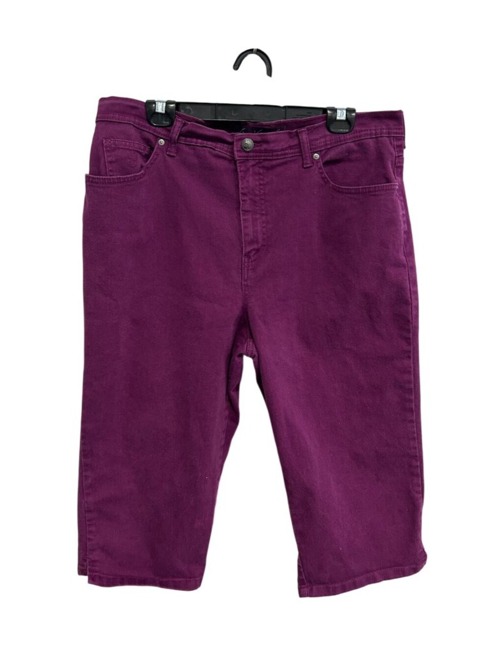 Gloria Vanderbilt 16 Purple Bermuda Shorts Cotton Rhinestone Boho Minimalist